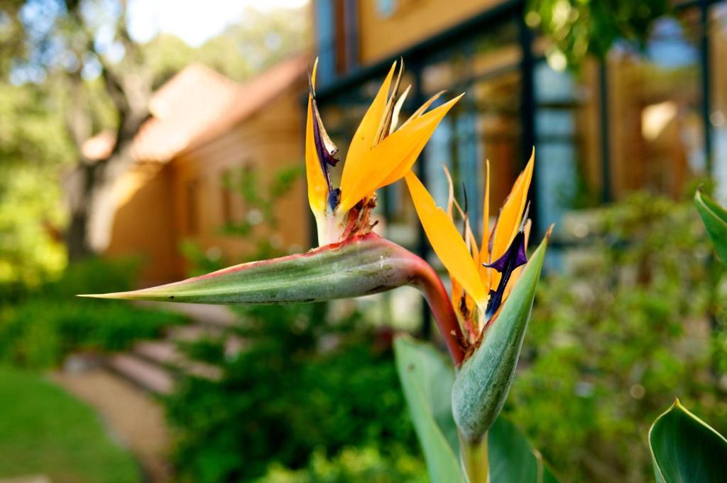 Cap Serein Guest House Ciudad del Cabo Exterior foto